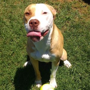 Meet your Posher, Kiona